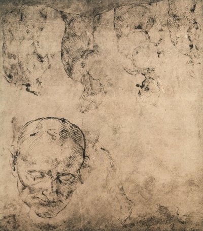 Studie für einen Kopf; Zeichnung von Michelangelo. Casa Buonarroti, Florenz von Michelangelo Buonarroti